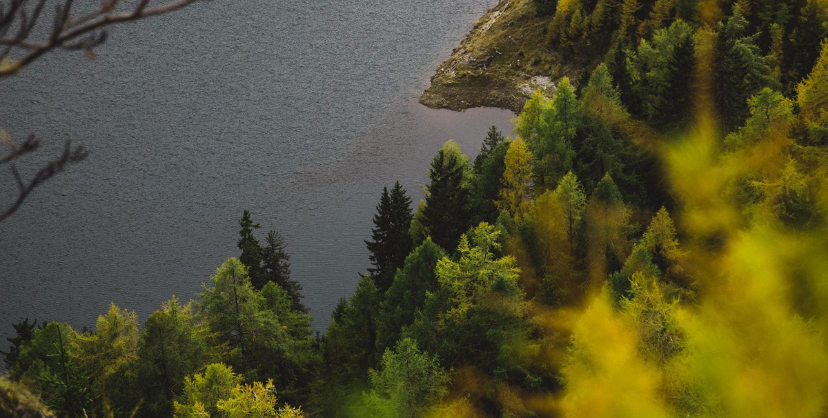 Vue d'une côte de lac de montagne avec forêt en automne.