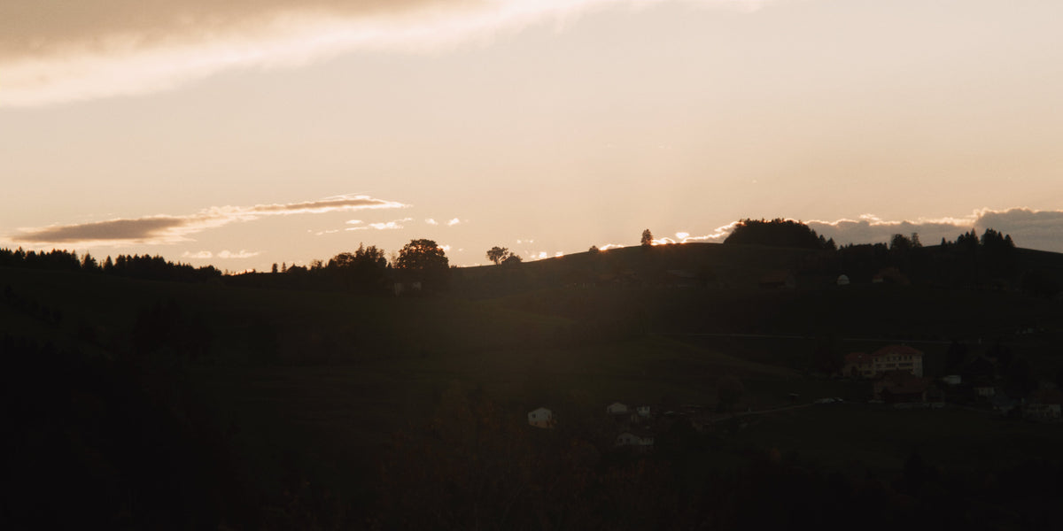 Paysage au crépuscule symbolisant la transition neurologique de l'état de veille au sommeil