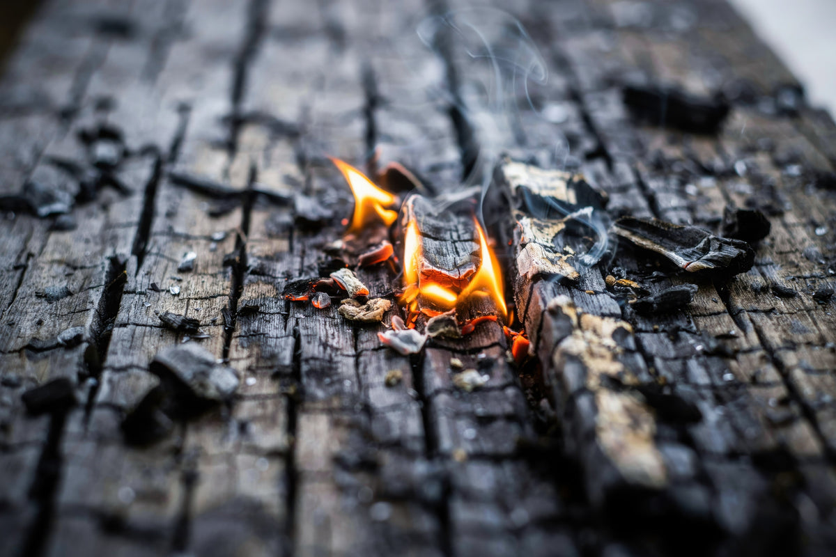 Glut und kleine Flammen auf verkohltem Holz als Sinnbild für eine kontrollierte Entzündungsreaktion